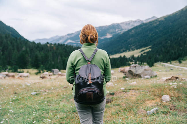Back view of anonymous female hiker in casual clothes with backpack standing in picturesque highlands admiring views — Stock Photo