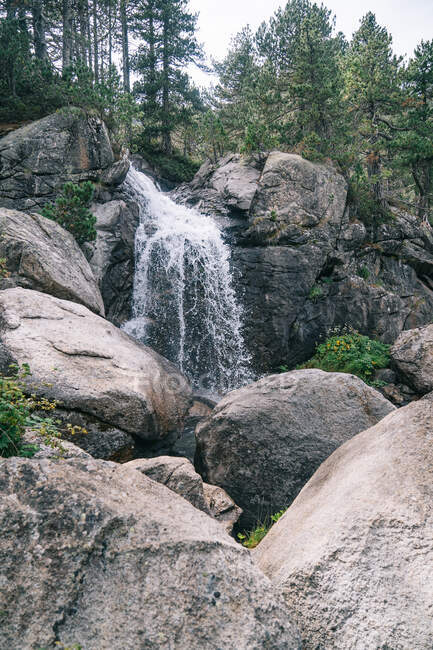 Cachoeira de rio de montanha que flui sobre grandes pedras entre árvores em falésias em desfiladeiro — Fotografia de Stock