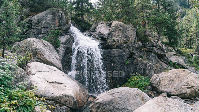 Cascada de río de montaña que fluye sobre grandes piedras entre árboles en acantilados en garganta - foto de stock
