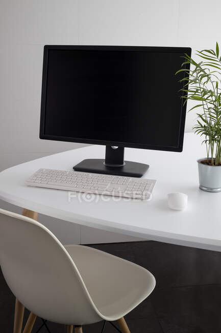 Ordenador moderno con monitor negro y teclado blanco colocado en el escritorio con maceta planta verde en la oficina - foto de stock