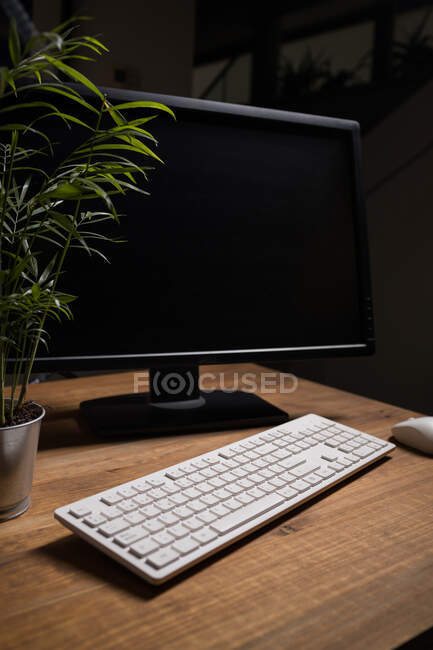 Біла сучасна клавіатура, миша і комп'ютерний монітор розміщені на дерев'яному столі біля зеленого горщика заводу — стокове фото