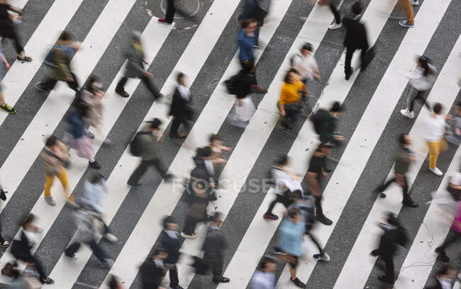 Сверху неузнаваемые люди, идущие по переходу зебры по оживленной людной улице Токио — стоковое фото