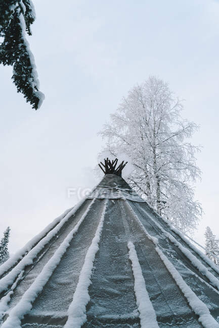 From below of traditional Sami tent placed in winter forest near trees covered with hoarfrost and snow against cloudy sky — Stock Photo