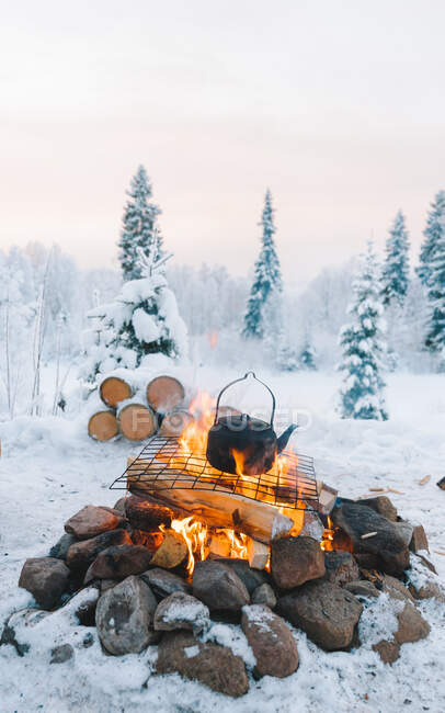 Teapot placed on bonfire on snowy field near coniferous trees against cloudy sunset sky in winter — Stock Photo