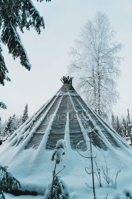 Traditional Sami tent placed in winter forest near trees covered with hoarfrost and snow against cloudy sky — Stock Photo