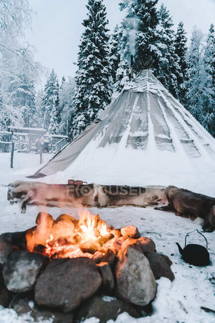 Burning fire among stones near teepee tent and overgrown coniferous trees in woods in wintertime — Stock Photo