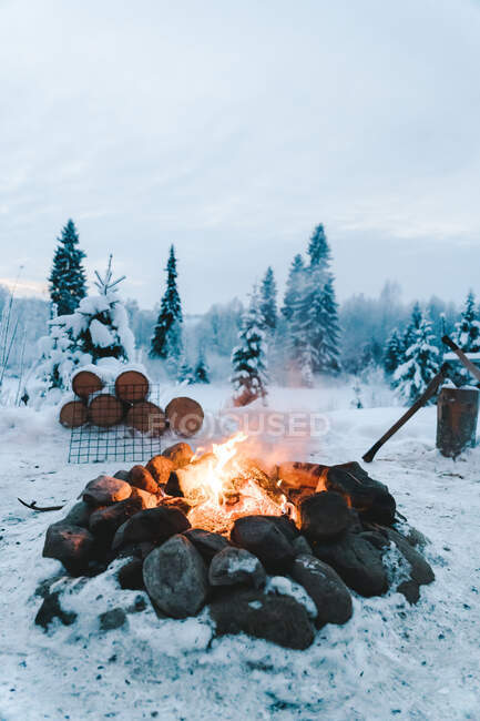 Queimando fogo entre pedras e árvores coníferas crescidas em bosques no inverno — Fotografia de Stock