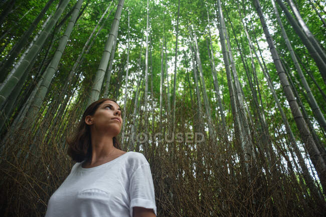 Jolie jeune femme caucasienne lève les yeux et admire les grands arbres dans la forêt emblématique de Bamboo Grove Arashiyama à Kyoto, Japon — Photo de stock
