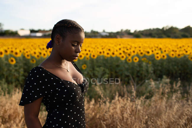 Vista laterale della femmina afroamericana in abito in piedi sullo sfondo di girasoli in fiore nel campo e godersi l'estate in campagna — Foto stock