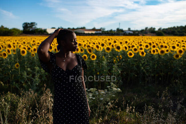 African American female in dress standing on background of blossoming sunflowers in field and enjoying summer in countryside — Stock Photo
