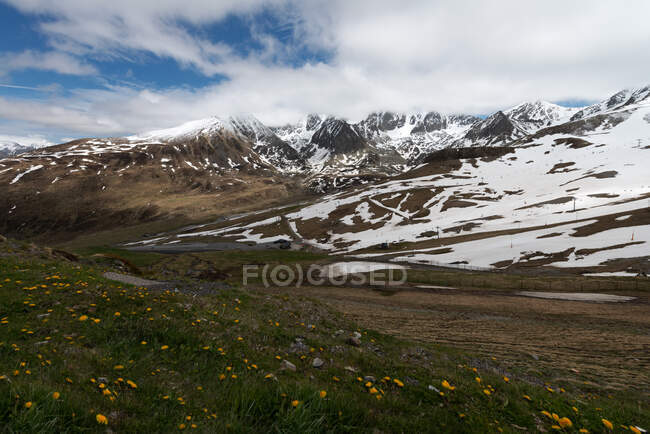 Majestic scenery of mountain range covered with snow and valley with yellow flowers under blue cloudy sky — Stock Photo