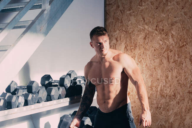Strong shirtless male with muscular torso carrying heavy dumbbells while standing near stand with sports equipment and preparing for exercise during functional training in gym — Stock Photo