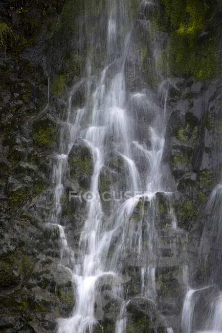 Increíble paisaje de rápida cascada cayendo de áspero acantilado rocoso cubierto de exuberante vegetación en la naturaleza salvaje - foto de stock