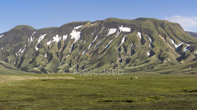 Picturesque scenery of rough green mountain range with snow on slope located on lush grassy meadow — Stock Photo