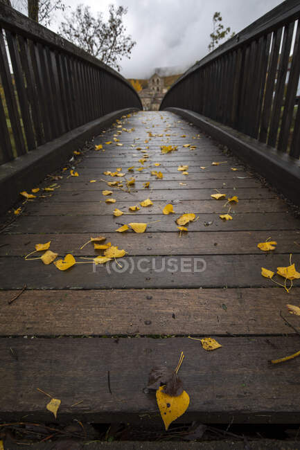 Vista panorámica del estrecho paso peatonal de madera en el parque otoñal cubierto de hojas amarillas caídas en el día nublado - foto de stock