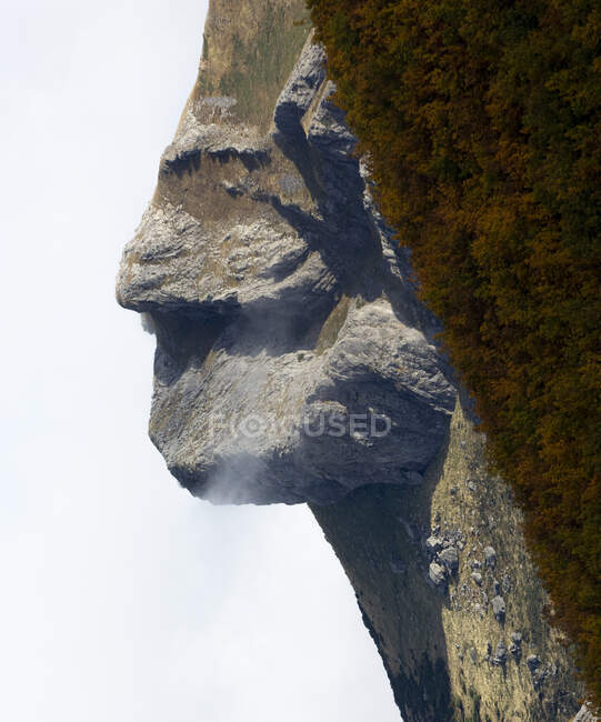 Сценический вид необычного грубого склона горы в форме лица человека возле пышной лесистой местности под ясным голубым небом — стоковое фото