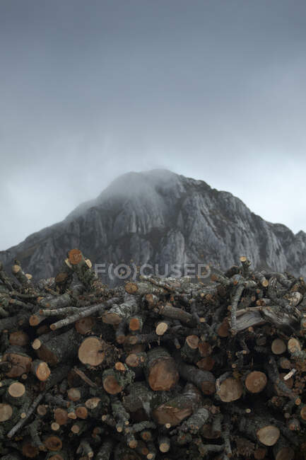 Landschaft aus aufgehäuften Baumstämmen auf rauem Berggrund mit Gipfel im Nebel unter blauem Himmel — Stockfoto