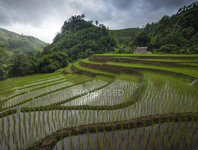 Lange Belichtung malerischen Blick auf kleines Dorf mit Holzhütten in der Nähe reichlich geräumige Reisfelder in exotischen Land unter bewölktem Himmel — Stockfoto