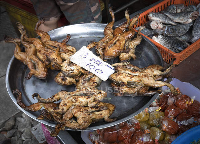 Dall'alto di rane fritte esotiche su vassoio messo su bancarella di mercato di cibo di strada locale con pesce assortito e spezie in Thailandia — Foto stock