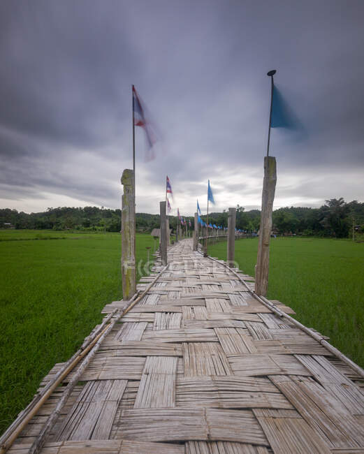 Long Su Tong Pae bamboo bridge with various flags on wooden pillars going through rice field against cloudy sky in Thailand — Stock Photo