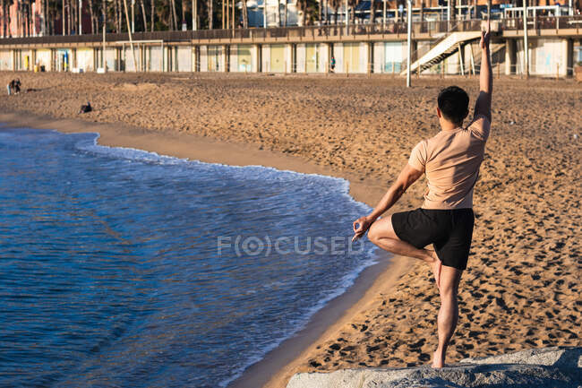 Ganzkörper-Rückenansicht des hemdslosen muskulösen Männchens, das während einer Yoga-Session an der städtischen Uferpromenade Tree-Pose-Variation mit Mudra-Geste durchführt — Stockfoto