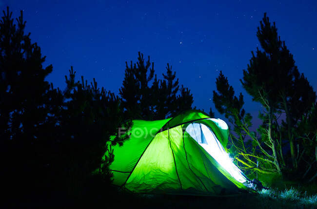Tente verte avec une lumière brillante parmi les silhouettes d'arbres élevés sous le ciel étoilé au crépuscule — Photo de stock