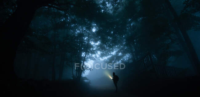 Vista lateral da silhueta trekker masculino anônimo no caminho iluminando madeiras noturnas com lanterna — Fotografia de Stock