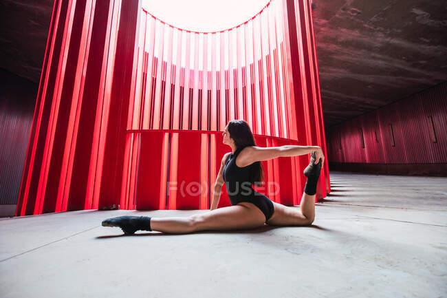 Вид збоку на гнучку жіночу танцівницю, що сидить в розколі, спираючись на руку в яскравій аудиторії в денному світлі — стокове фото