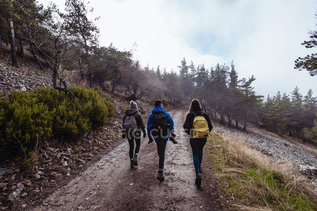 Задний вид анонимных путешественников с рюкзаками, прогуливающимися по дорожке возле горы с деревьями под облачным небом — стоковое фото