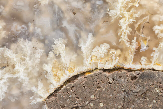 Macro photographie de la profondeur structurale dans une agate de panache blanc découpée et polie sur une matrice de basalte ; de l'est de l'Oregon — Photo de stock