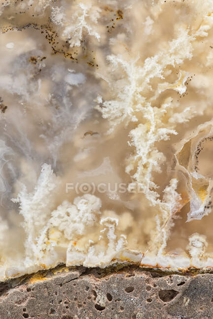 Macro fotografia della profondità strutturale in agata White Plume tagliata e lucidata su matrice basaltica; dall'Oregon orientale — Foto stock