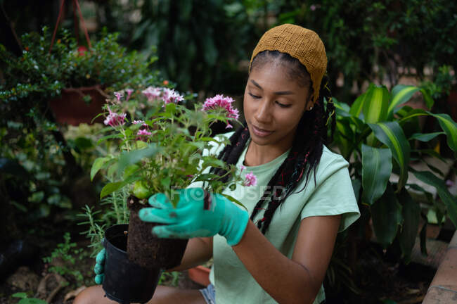 Hippie black female with dreadlocks gardener sitting in hothouse and planting flowers in pots — Stock Photo