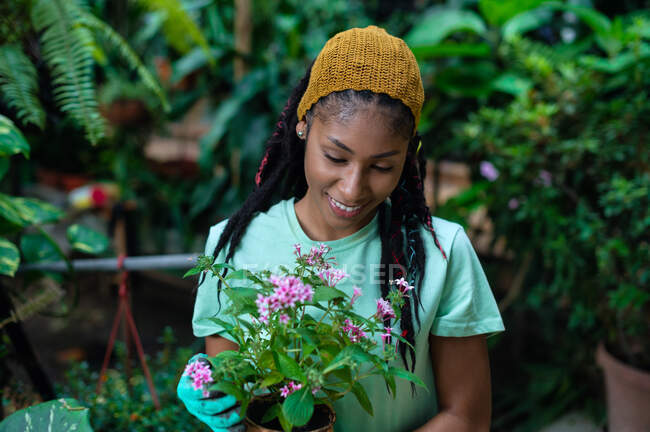 Hippie fêmea preta com dreadlocks jardineiro sentado na estufa e plantando flores em vasos — Fotografia de Stock