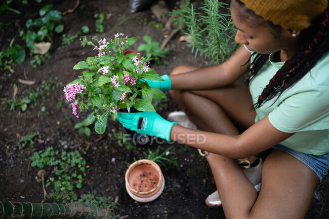 From above side view of hippie black female with dreadlocks gardener sitting in hothouse and planting flowers in ceramic pots — Stock Photo