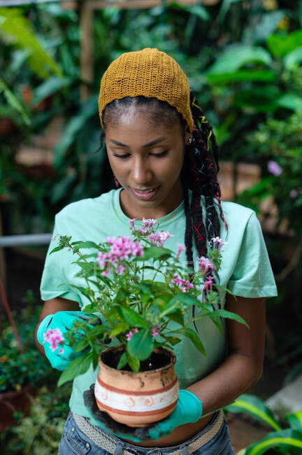 Delighted black female gardener standing in greenhouse with blooming flowers in ceramic pot — Stock Photo