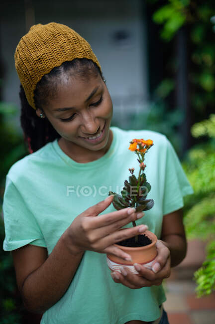 Entzückte schwarze Gärtnerin steht im Gewächshaus mit blühender Kalanchoe-Blume im Keramiktopf — Stockfoto