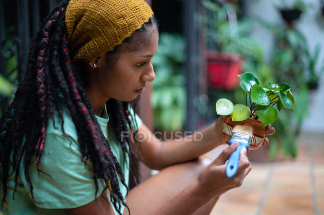 Vista lateral do jardineiro feminino afro-americano pintando panela de cerâmica com flor de Kalanchoe enquanto trabalhava na estufa — Fotografia de Stock