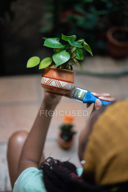 Beschnitten bis zur Unkenntlichkeit afroamerikanische Gärtnerin bemalt Keramiktopf mit Kalanchoe Blume während der Arbeit im Gewächshaus — Stockfoto