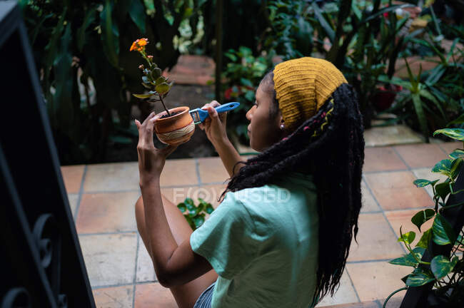 Vista laterale ad alto angolo del giardiniere afroamericano che dipinge vaso di ceramica con fiore Kalanchoe mentre lavora in serra — Foto stock