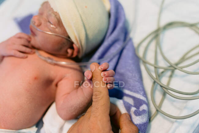 Tiny newborn child with breathing tube holding finger of unrecognizable mom while sleeping in incubator in hospital — Stock Photo
