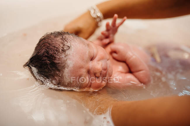 Alto ángulo de niño recién nacido lindo sostenido por madre anónima recibiendo baño en el fregadero - foto de stock