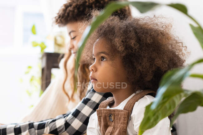 Афроамериканский ребенок с прической афроамериканца, когда смотрит вдаль в доме — стоковое фото