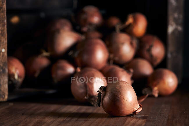 Muchas cebollas frescas enteras con cáscara seca dispuestas en pila - foto de stock