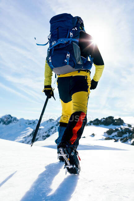 Обратный вид на анонимного альпиниста в сапогах с колясками, взбирающегося на снежный склон горы в солнечный день в высокогорье — стоковое фото