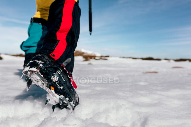 Back view of crop anonymous mountaineer in boots with crampons climbing snowy mountain slope in sunny day in highlands — Stock Photo