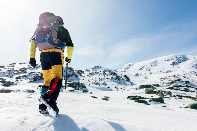 Обратный вид на неузнаваемого альпиниста, идущего по склону заснеженной скалистой горной цепи в солнечную погоду — стоковое фото