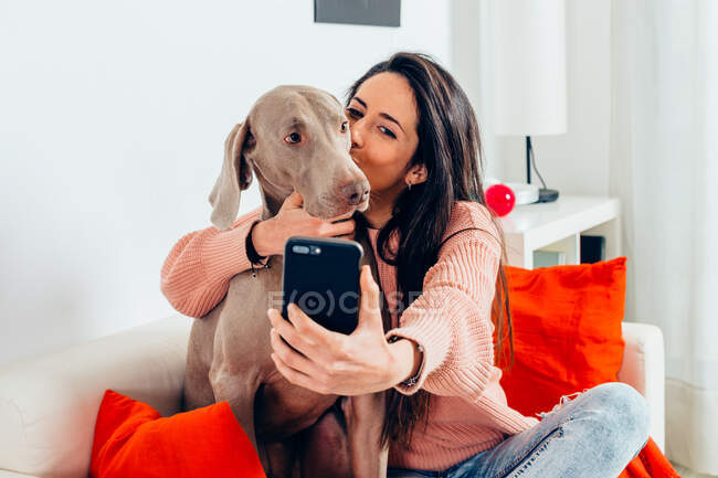 Liebevolle Besitzerin umarmt und küsst entzückenden reinrassigen Weimaraner Hund und macht Selfie auf dem Smartphone, während sie zu Hause auf dem Sofa liegt — Stockfoto