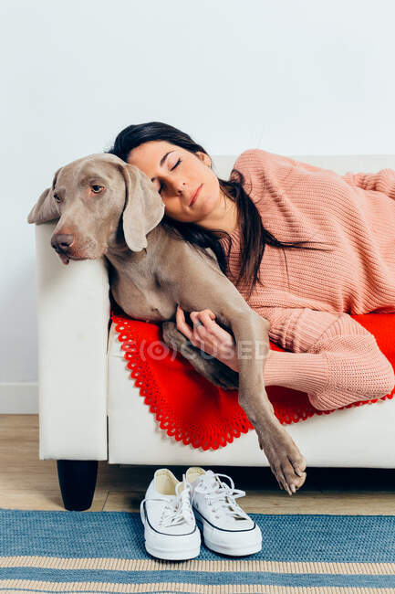 Jovem proprietário do sexo feminino colocando a cabeça no cão de raça pura leal Weimaraner e dormindo no sofá enquanto descansam juntos em casa — Fotografia de Stock