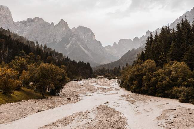 Vue pittoresque de la chaussée sablonneuse entre les arbres et les hauts monts sous un ciel nuageux dans les Dolomites — Photo de stock