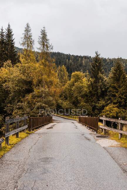 Пустая узкая асфальтовая дорога с мостом и деревянным забором, проходящая через густой лес с осенней листвой в горном хребте Доломиты в Италии — стоковое фото